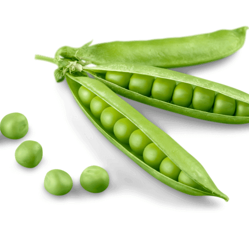 green peas (1)