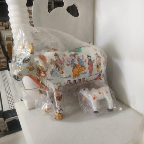 whatsapp image 2026 01 24 at 11.44.06 pm (1)